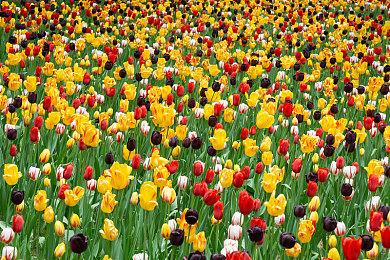 《龙珠Z：卡卡罗特》新老版本画面对比差距明显