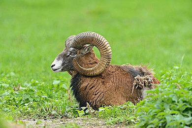 科隆：前GTA制作人新作《Everywhere》首支预告