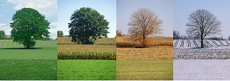 《奇异人生》开发商新作《Lost Recrods》第二部分延期